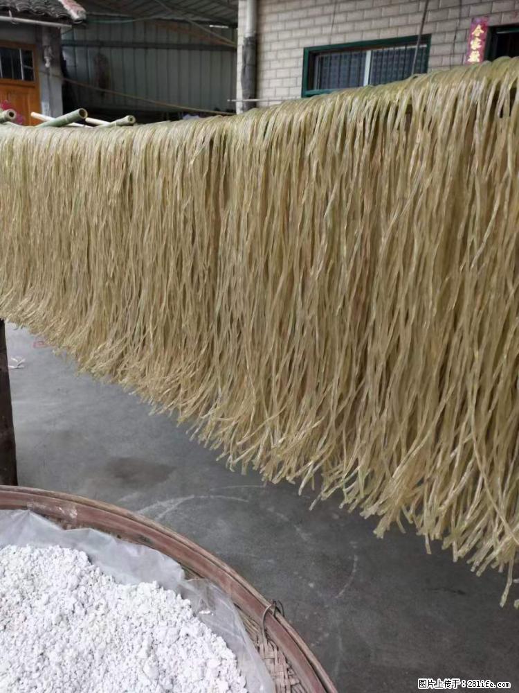 【灌阳正宗红薯粉】美女家里自己做的,干净卫生,假一赔十,价格合理,抢购电话:13737312895 - 美食天地 - 南宁生活社区 - 南宁28生活网 nn.28life.com