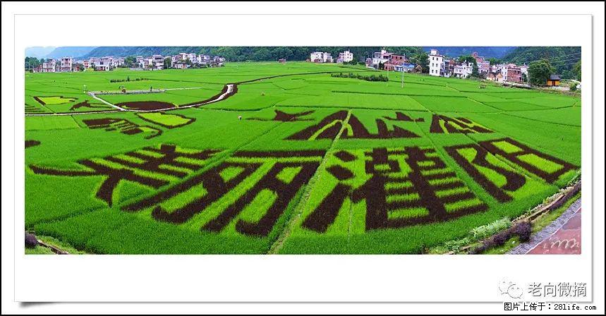 【春天，广西桂林灌阳县向您发出邀请！】开篇 - 游山玩水 - 南宁生活社区 - 南宁28生活网 nn.28life.com