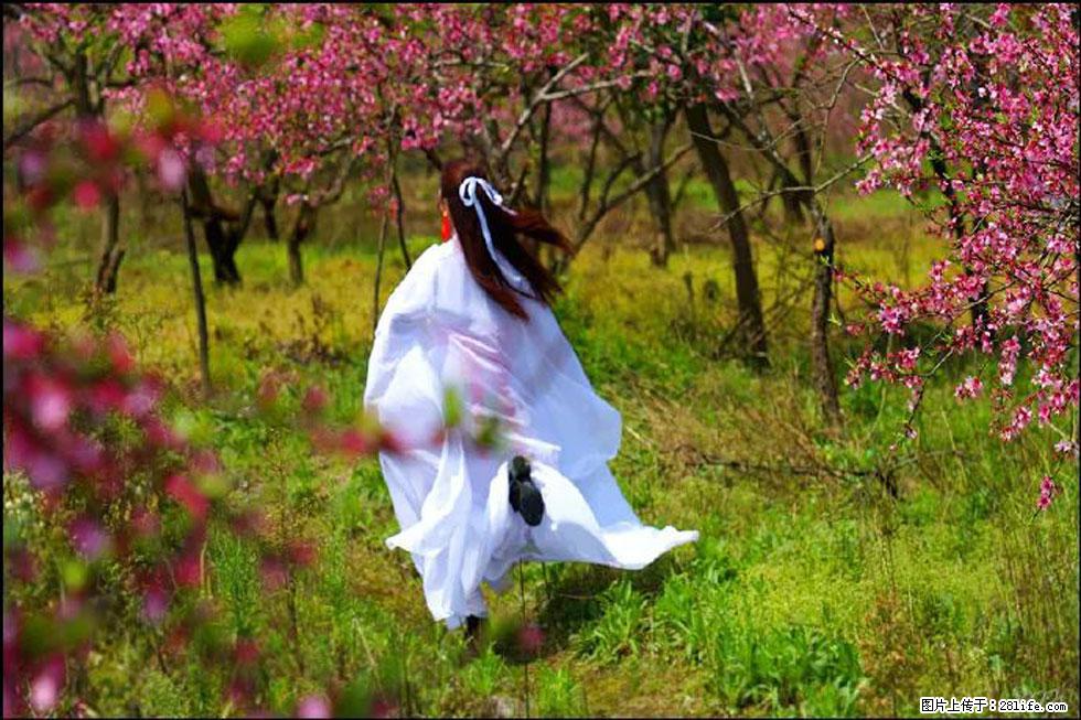 【春天,广西桂林灌阳县向您发出邀请!】官庄村有个醉美的桃花园 - 游山玩水 - 南宁生活社区 - 南宁28生活网 nn.28life.com