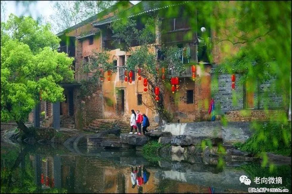 【春天,广西桂林灌阳县向您发出邀请!】江口老街又逢春 - 游山玩水 - 南宁生活社区 - 南宁28生活网 nn.28life.com