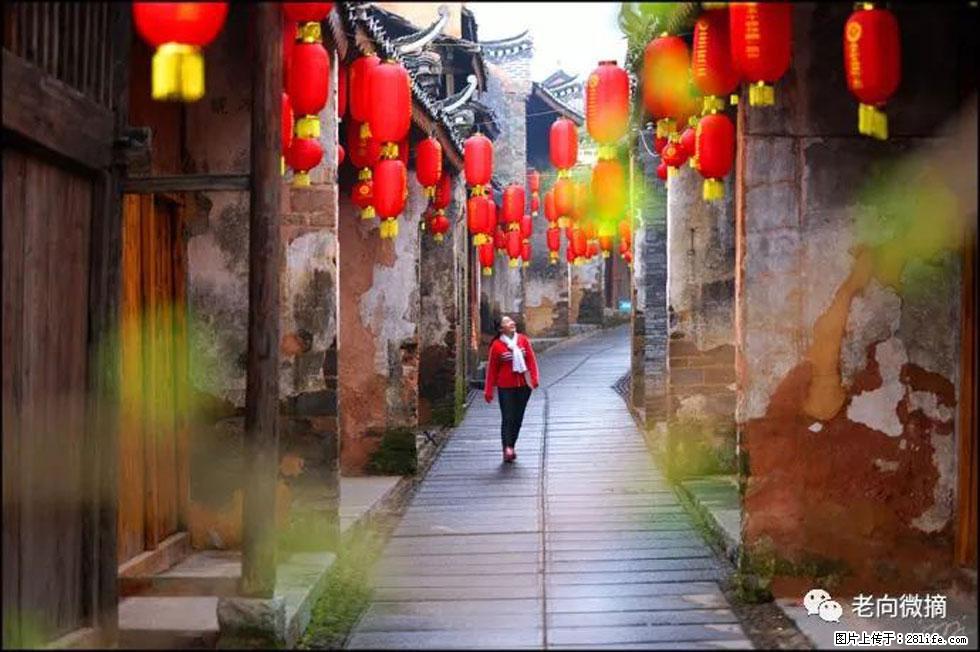 【春天,广西桂林灌阳县向您发出邀请!】江口老街又逢春 - 游山玩水 - 南宁生活社区 - 南宁28生活网 nn.28life.com