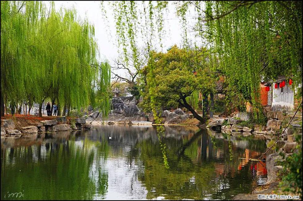 【春天,广西桂林灌阳县向您发出邀请!】江口老街又逢春 - 游山玩水 - 南宁生活社区 - 南宁28生活网 nn.28life.com