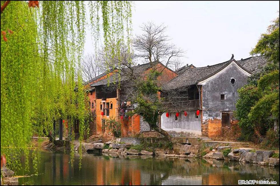 【春天,广西桂林灌阳县向您发出邀请!】江口老街又逢春 - 游山玩水 - 南宁生活社区 - 南宁28生活网 nn.28life.com