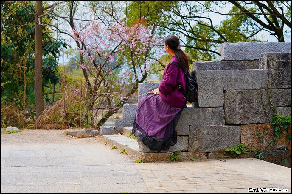 【春天,广西桂林灌阳县向您发出邀请!】江口老街又逢春 - 游山玩水 - 南宁生活社区 - 南宁28生活网 nn.28life.com