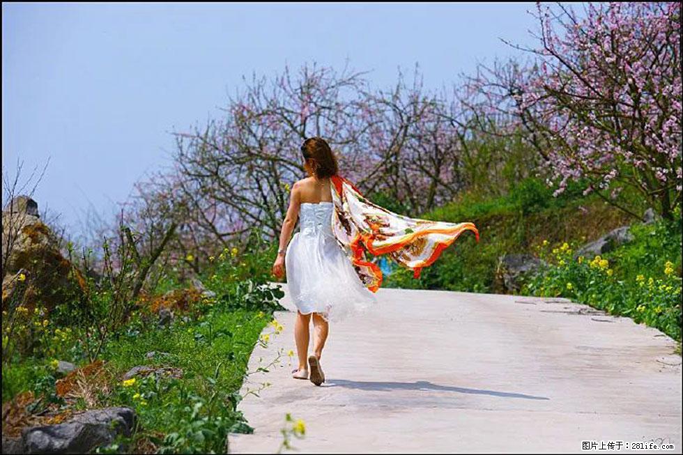 【春天，广西桂林灌阳县向您发出邀请！】望月岭上桃花开 - 游山玩水 - 南宁生活社区 - 南宁28生活网 nn.28life.com