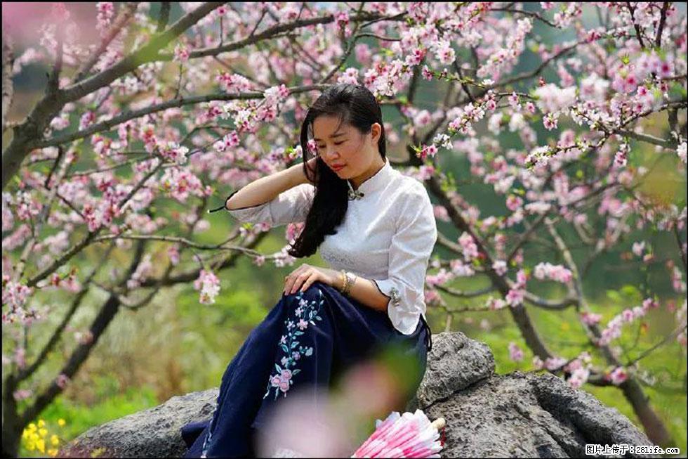 【春天，广西桂林灌阳县向您发出邀请！】望月岭上桃花开 - 游山玩水 - 南宁生活社区 - 南宁28生活网 nn.28life.com