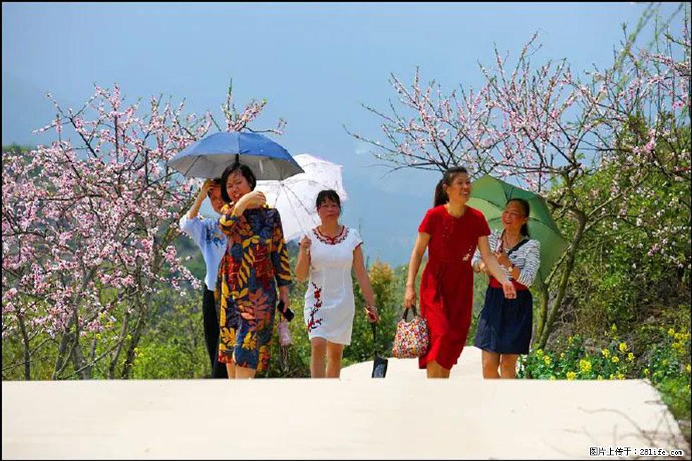 【春天，广西桂林灌阳县向您发出邀请！】望月岭上桃花开 - 游山玩水 - 南宁生活社区 - 南宁28生活网 nn.28life.com