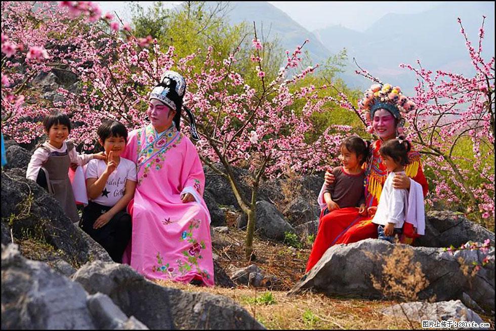 【春天，广西桂林灌阳县向您发出邀请！】望月岭上桃花开 - 游山玩水 - 南宁生活社区 - 南宁28生活网 nn.28life.com