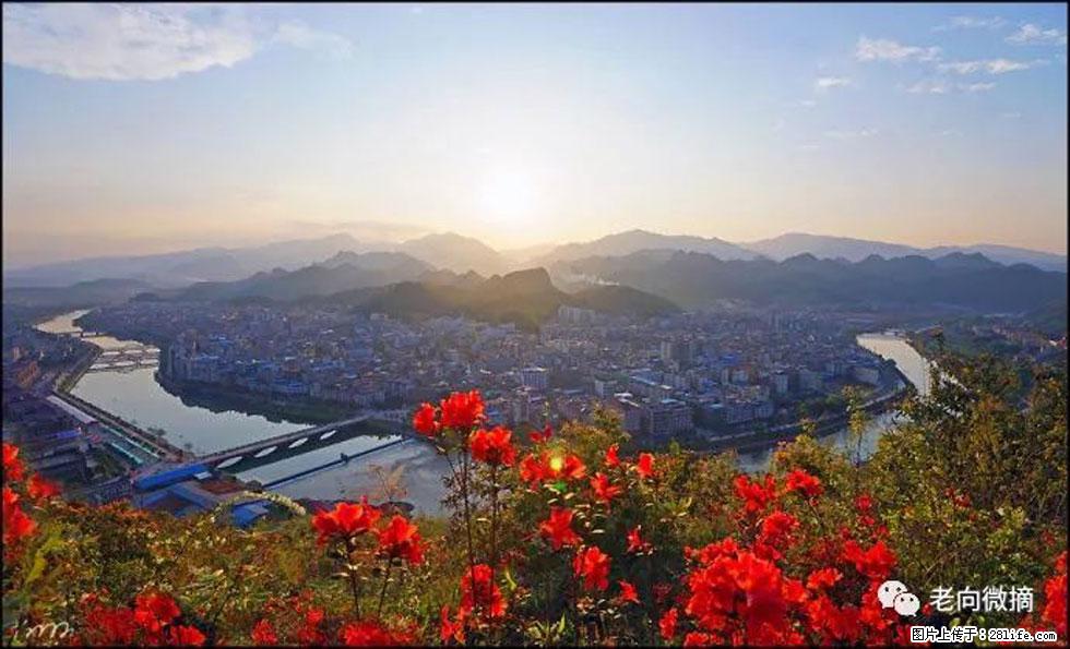 【春天，广西桂林灌阳县向您发出邀请！】登麒麟山，相约映山红 - 游山玩水 - 南宁生活社区 - 南宁28生活网 nn.28life.com