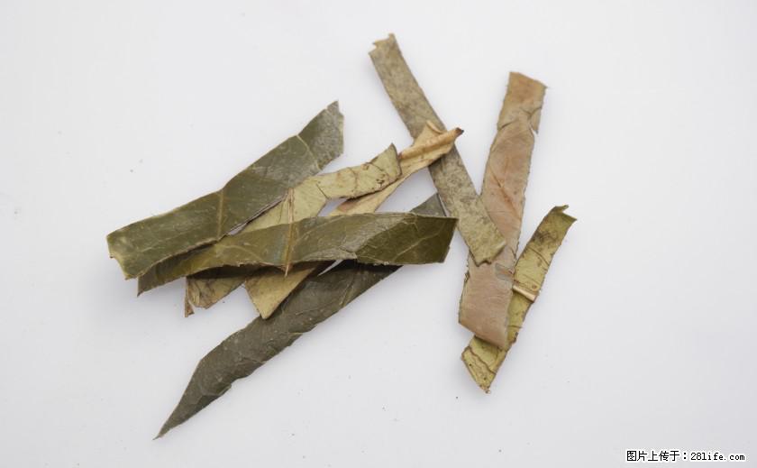 苦丁茶有哪些功效和作用 - 生活百科 - 南宁生活社区 - 南宁28生活网 nn.28life.com