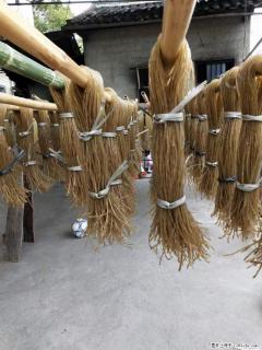 【灌阳正宗红薯粉】美女家里自己做的，干净卫生，假一赔十，价格合理，抢购电话：13737312895 - 南宁28生活网 nn.28life.com