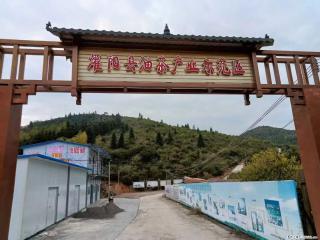 【灌阳县油茶产业示范区】一个有着充实的精神生活的人，对待身外之物自会有一种淡泊的态度 - 南宁28生活网 nn.28life.com