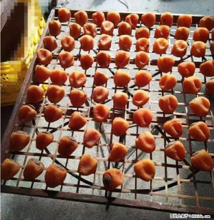 广西桂林平乐桥亭【柿饼之乡】2025年纯手工制作、无任何添加剂的第一批柿饼准备上市了，欢迎联系订购！ - 南宁28生活网 nn.28life.com