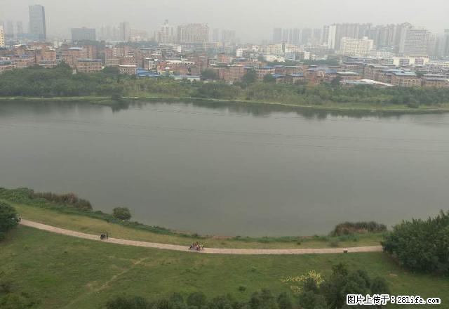 心圩江 精装四房 三面环江 无敌视野!我们不一样 不一样 - 房屋出租 - 房屋租售 - 南宁分类信息 - 南宁28生活网 nn.28life.com