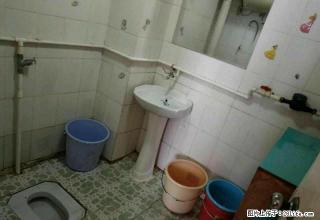 东葛路 华亿大厦 1房1厅1卫 家电配齐可以随时拎包入住 - 南宁28生活网 nn.28life.com