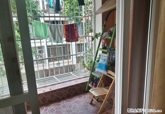 阳光新城风林苑三大房租2300月家具齐全拎包入住 - 房屋出租 - 房屋租售 - 南宁分类信息 - 南宁28生活网 nn.28life.com