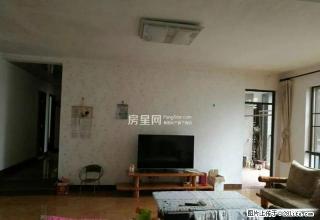 真实的房源 和价格 不是广告房源 便宜出租了 3室 - 南宁28生活网 nn.28life.com