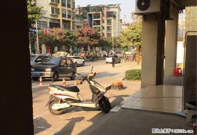 富宁铺面转让,位置佳 急转。 - 房屋出租 - 房屋租售 - 南宁分类信息 - 南宁28生活网 nn.28life.com