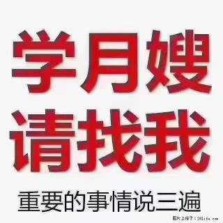 【招聘】月嫂，上海徐汇区 - 南宁28生活网 nn.28life.com
