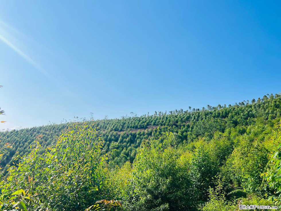 【天井岭】山顶风景旖旎,山色如画,俯瞰脚下锦绣山河,尽收世间万般风光! - 游山玩水 - 南宁生活社区 - 南宁28生活网 nn.28life.com