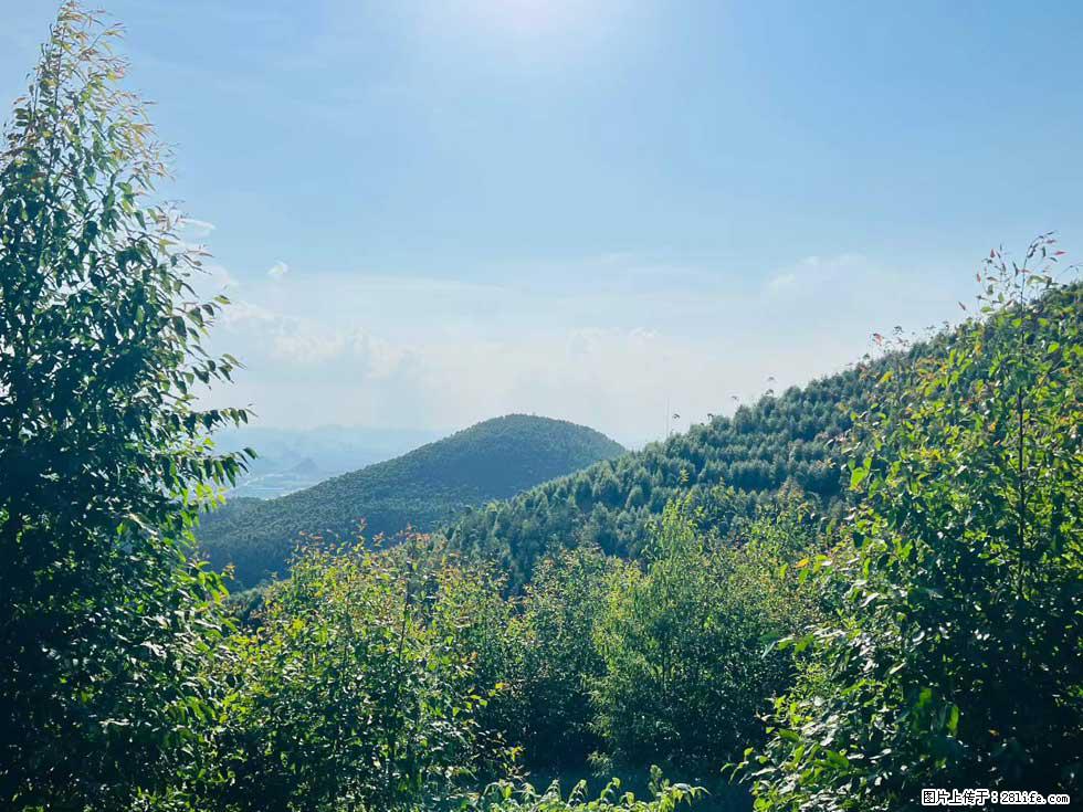 【天井岭】山顶风景旖旎,山色如画,俯瞰脚下锦绣山河,尽收世间万般风光! - 游山玩水 - 南宁生活社区 - 南宁28生活网 nn.28life.com
