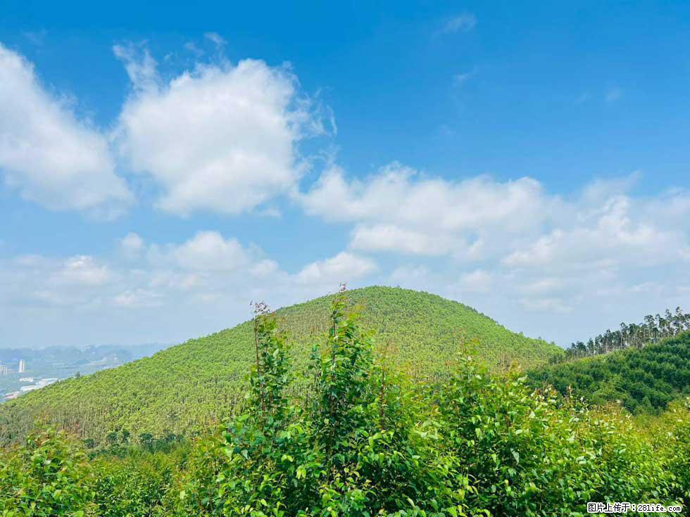 【天井岭】山顶风景旖旎,山色如画,俯瞰脚下锦绣山河,尽收世间万般风光! - 游山玩水 - 南宁生活社区 - 南宁28生活网 nn.28life.com
