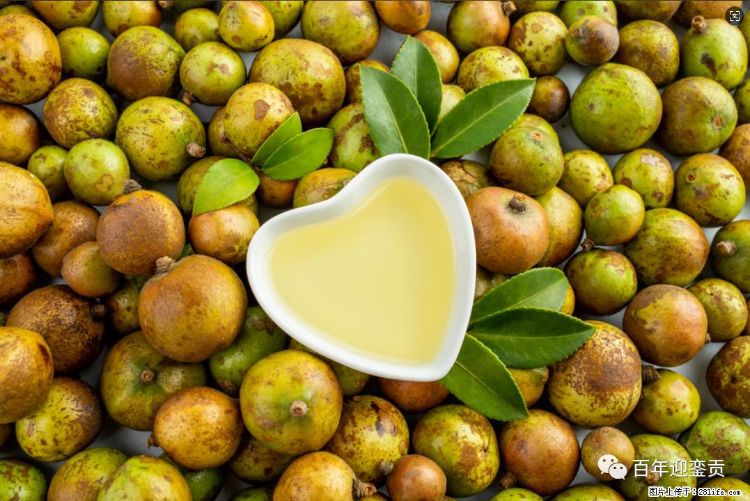 世界没有真相，只有认知，最好的食用油是中国的山茶油！ - 南宁生活资讯 - 南宁28生活网 nn.28life.com