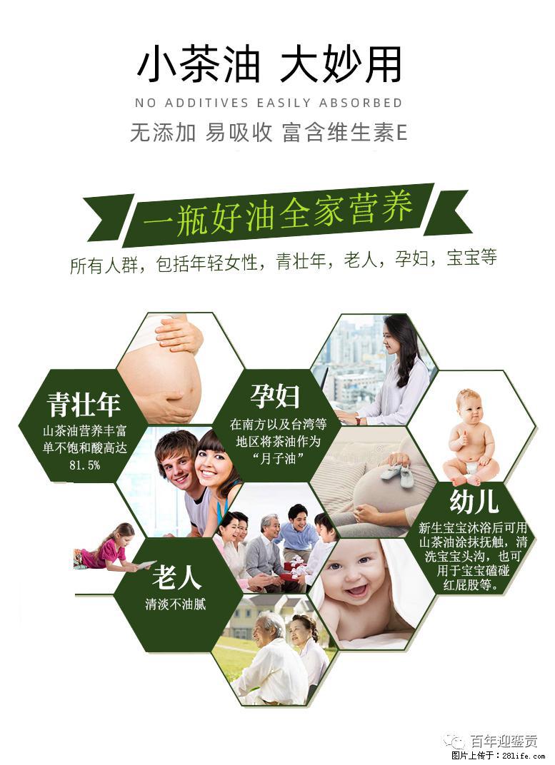 世界没有真相，只有认知，最好的食用油是中国的山茶油！ - 南宁生活资讯 - 南宁28生活网 nn.28life.com