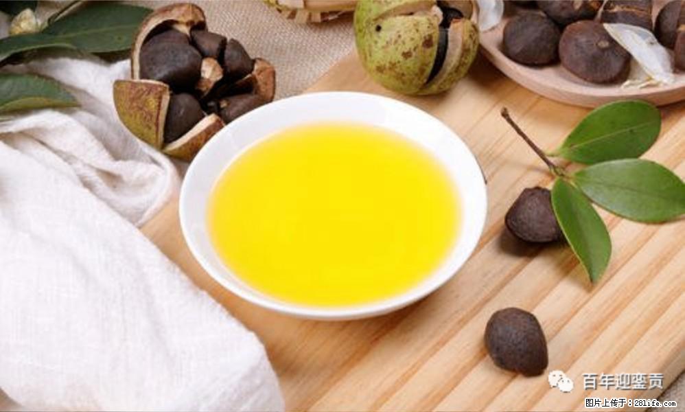 世界没有真相，只有认知，最好的食用油是中国的山茶油！ - 南宁生活资讯 - 南宁28生活网 nn.28life.com