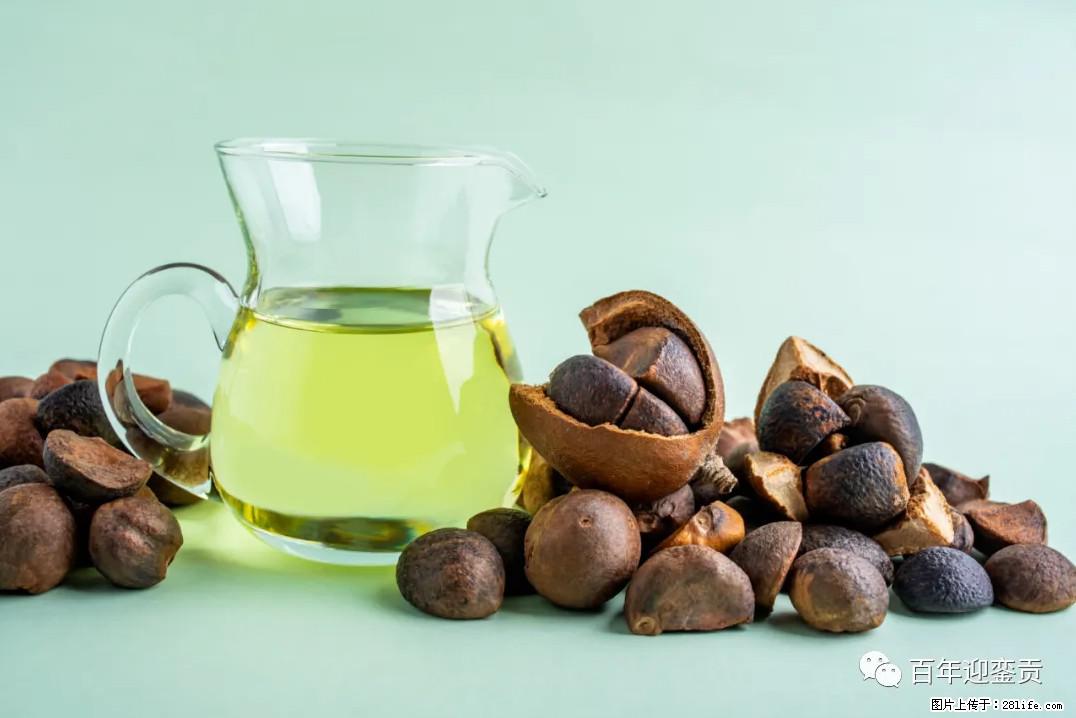 世界没有真相,只有认知,最好的食用油是中国的山茶油! - 南宁生活资讯 - 南宁28生活网 nn.28life.com