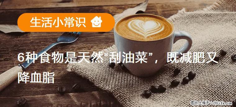 【生活小常识】6种食物是天然“刮油菜”,既减肥又降血脂 - 南宁生活资讯 - 南宁28生活网 nn.28life.com