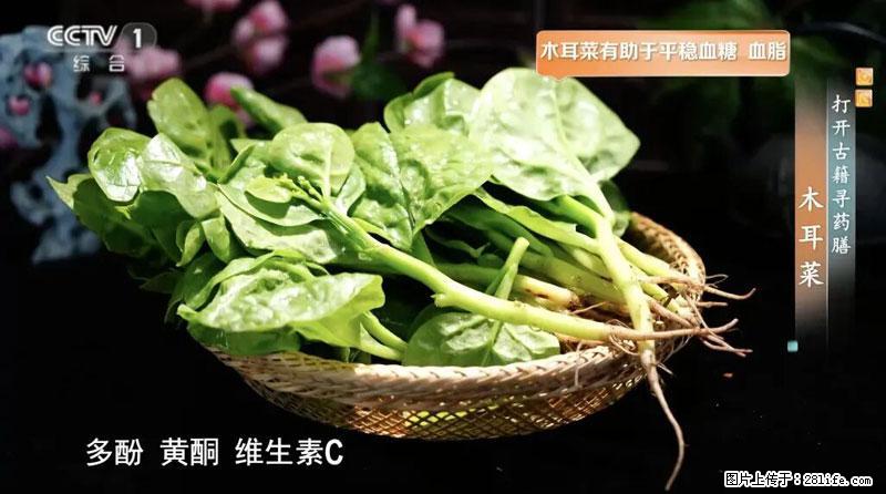 比牛奶补钙还厉害！凉血解毒、稳血糖...这菜冬天必吃，很多人却当草 - 南宁生活资讯 - 南宁28生活网 nn.28life.com