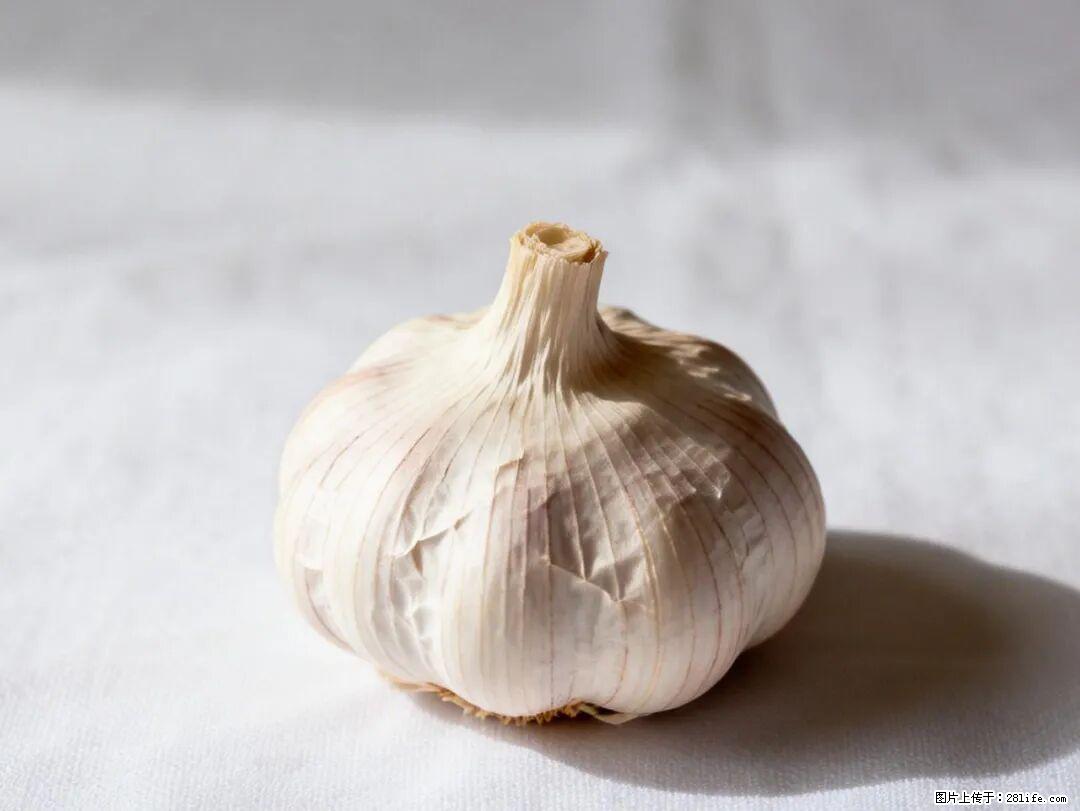 关于大蒜,除了“天然抗生素”,这4个谣言更该警惕! - 南宁生活资讯 - 南宁28生活网 nn.28life.com