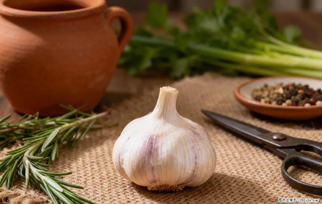 关于大蒜,除了“天然抗生素”,这4个谣言更该警惕! - 南宁生活资讯 - 南宁28生活网 nn.28life.com