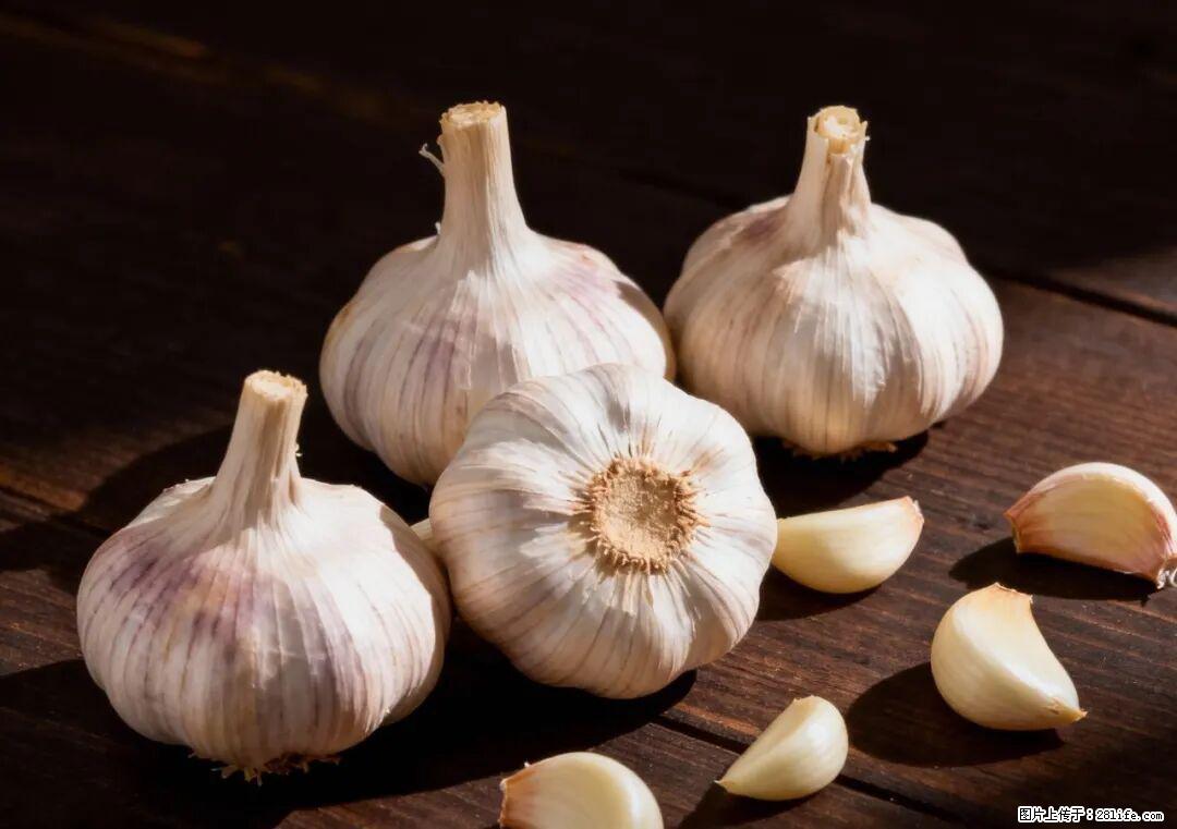 关于大蒜,除了“天然抗生素”,这4个谣言更该警惕! - 南宁生活资讯 - 南宁28生活网 nn.28life.com