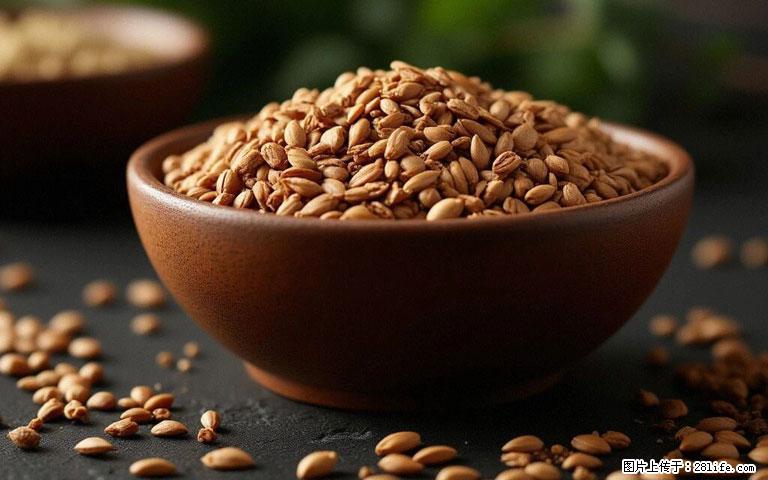 这三苦是三高“克星”,心血管干净不易堵!每天吃一点,指标慢慢降下来~ - 南宁生活资讯 - 南宁28生活网 nn.28life.com