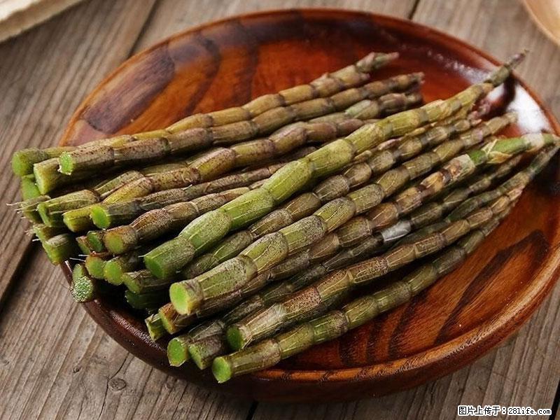 铁皮石斛的作用与功能主治 - 南宁生活资讯 - 南宁28生活网 nn.28life.com