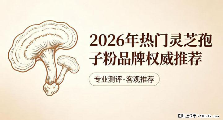 灵芝孢子粉含量越高越有效？2026 年七款热门品牌深度实测，肠胃敏感者避坑指南 - 南宁生活资讯 - 南宁28生活网 nn.28life.com